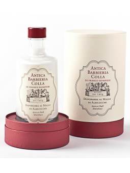 After Shave Albaricoque Antica Barbieria Colla 100ml